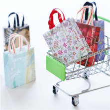 付き添いサービス：買物